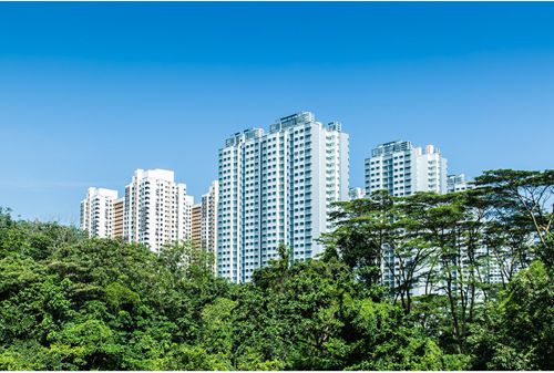 新加坡公寓楼与绿树，新加坡搬家选住址指南封面图
